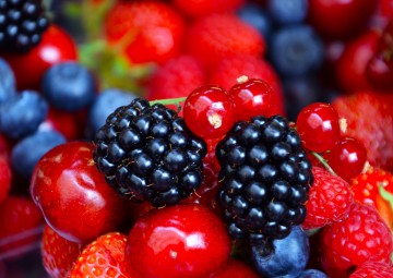 Protección térmica en el transporte de frutos rojos